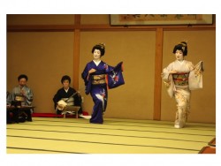 Présentation de Kimono