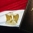 مصر: نعم للدستور ٦٣،٨ ٪ من أصل ٣٢،٩ ٪ شاركوا 