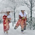 اليابان: الثلوج تقتل ٢٣ شخصاً