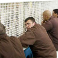 فلسطين: المعتقلين في خطر الموت