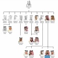 السعودية: الحملة على الفساد استباق لصراع على السلطة
