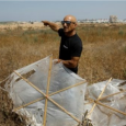 فلسطين المحتلة: مئات الطائرات الورقية الحارقة تنطلق من غزة