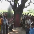 الهند: اغتصبوا ثم شنقوا فتاتين