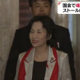 اليابان: حجاب أحمر يعلق جلسات البرلمان