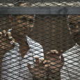 بعد الصلح مصر قد تعفو عن صحفيي «الجزيرة»