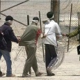 سجل اسرائيل في معاملة المعتقلين أسود