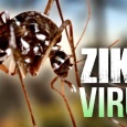 البرازيل: ١،٥ مليون مصاب بفيروس زيكا فهل تلغى الألعاب الأولمبية؟