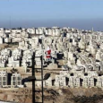 فلسطين المحتلة: اكثر من 3700 وحدة سكنية استيطانية جديدة