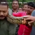 ヘビ捕獲のインド男性、セルフィー試みるも窒息の危機　同僚が救助