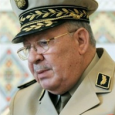 الجزائر: الجيش يتخلى عن بوتفليقة