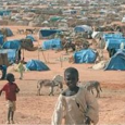 عودة العنف إلى دارفور