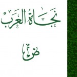 هل العربية الفصحى هي العنصر الأساسي والوحيد للتطور؟