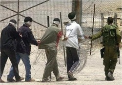 israel+prisonniers+palestiniens