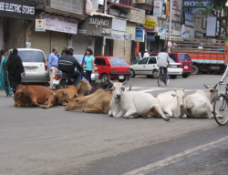 Capture d’écran 2015-10-16 à 18.38.27