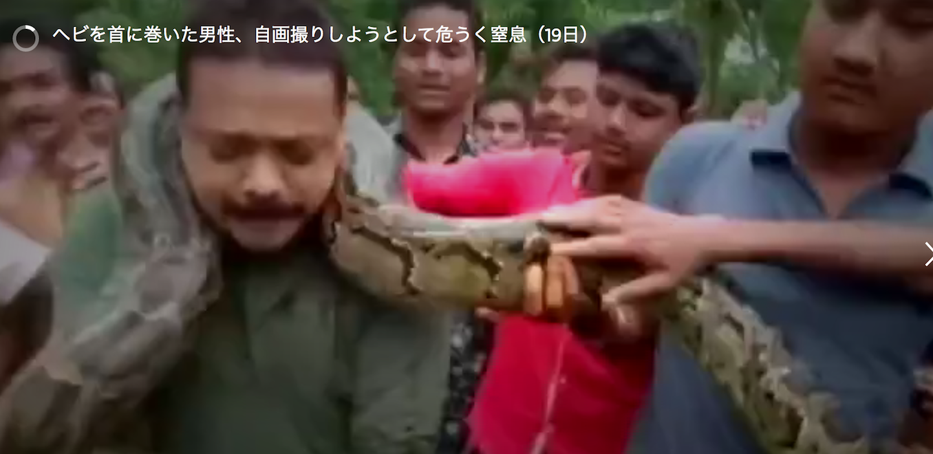 ヘビ捕獲のインド男性 セルフィー試みるも窒息の危機 同僚が救助 أخبار بووم