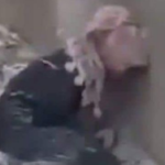 جريمة شرف في جرابلس السورية