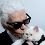 قطة لاغرفيلد ترث ١٩٥ مليون دولار